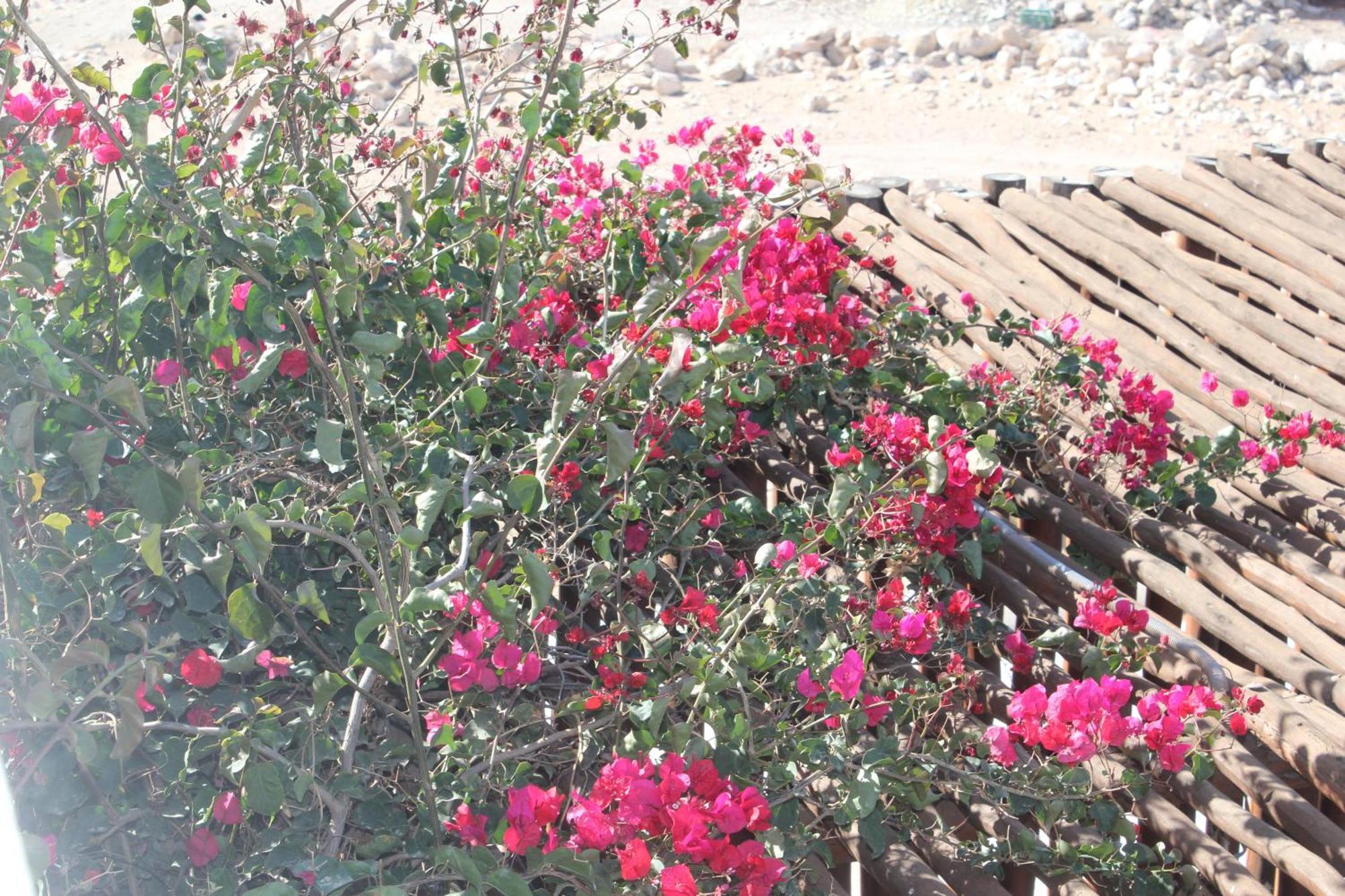 La Maison Des Vagues Sidi Kaouki Kültér fotó